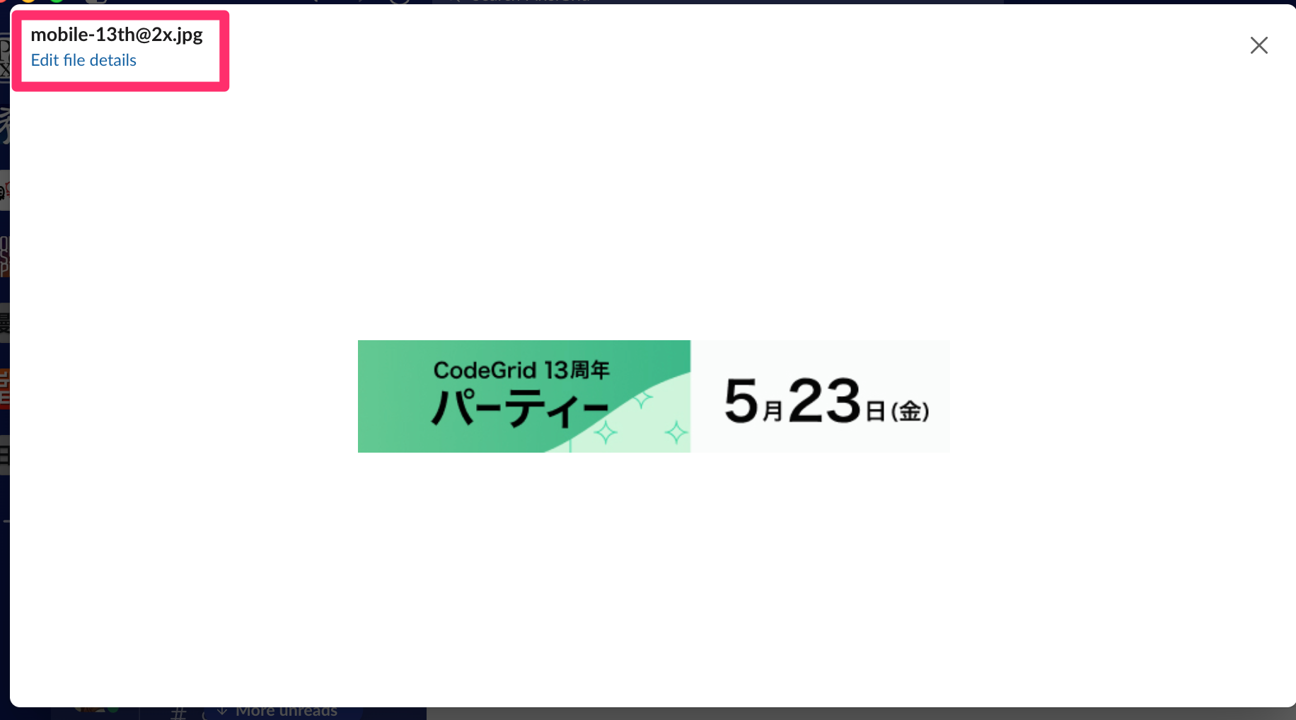 スクリーンショット:Slackで発言の入力欄の画像をクリックした際に表示されるダイアログ。左上にはファイル名とEdit file detailsというリンクがあり、赤枠で囲まれている。ダイアログの中央には添付した画像がプレビューされている。